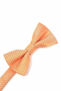 Orange Regal Bow Tie