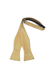 Cardi Self Tie Gold Regal Bow Tie