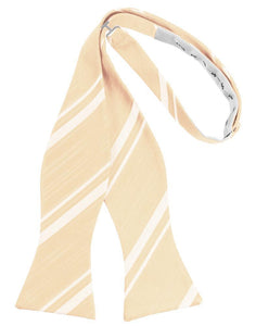 Cardi Self Tie Peach Striped Satin Bow Tie